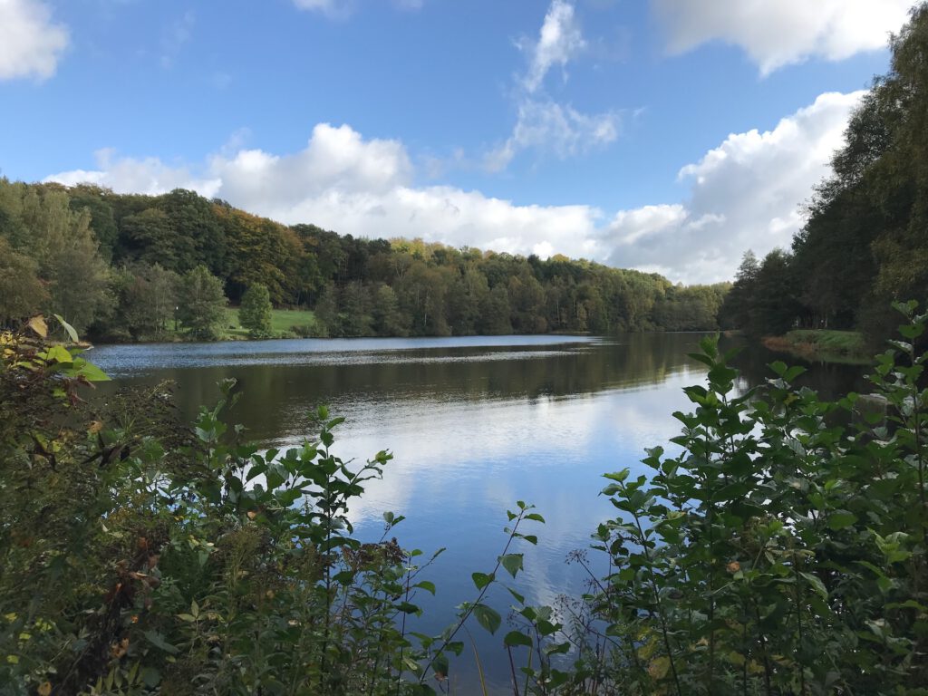 Glashütter Weiher in Rohrbach (Saar)